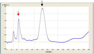 ���f���@�O���t