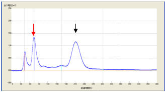 2�T�Ԍ�@�O���t