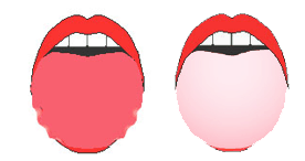 �u�M�U�M�U�v�Ɓu���F�v