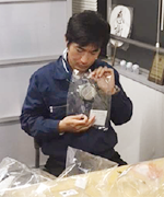 �����G�A�e�N�m�Б�\�F���эG����