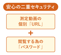 ���S�̓�d�Z�L�����e�B